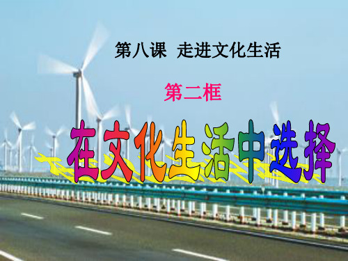 连云港市灌南高级中学高中政治必修3课件 382在文化生活中选择