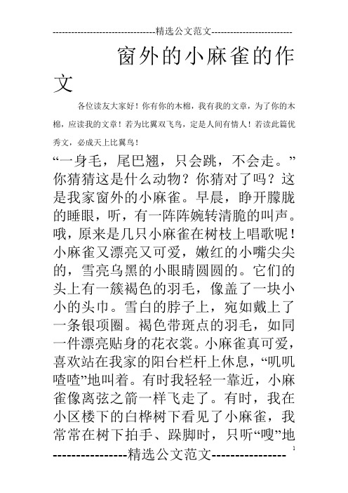 窗外的小麻雀的作文