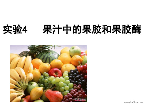 高一生物果汁中的果胶和果胶酶