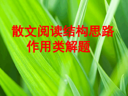 散文结构特点