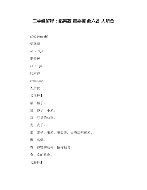 三字经解释：稻梁菽 麦黍稷 此六谷 人所食