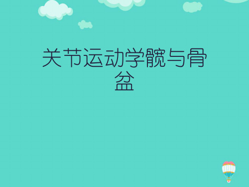 关节运动学髋与骨盆ppt(实用资料)