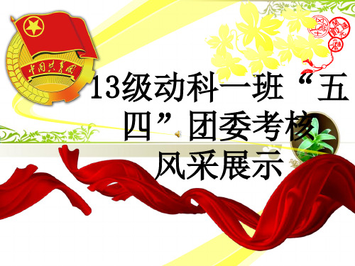 团委考核PPT模板.