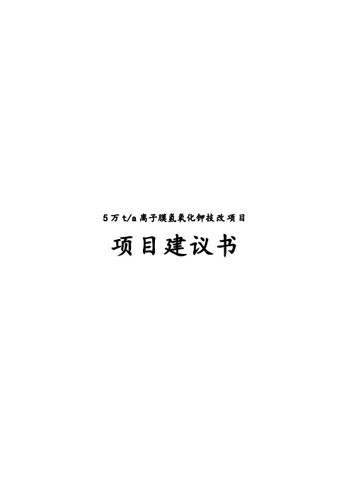 年产5万吨离子膜氢氧化钾技改项目实施建议书