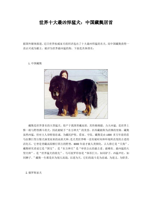 世界十大最凶悍猛犬：中国藏獒居首