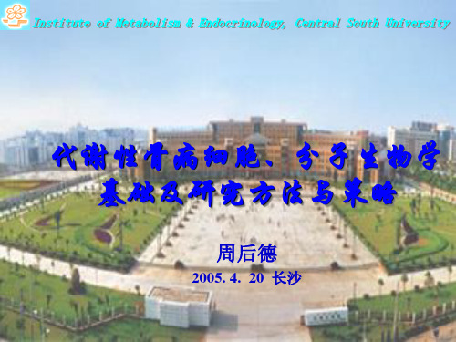 农学代谢性骨病分子细胞生物学ppt课件