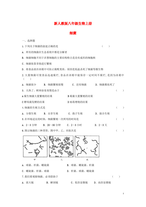 新人教版八年级生物上册第五单元-第四章-第二节《细菌》习题精选及答案