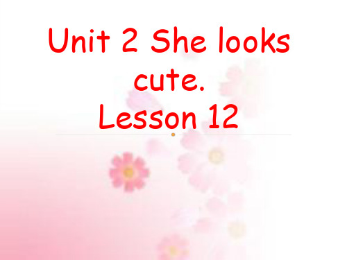 五年级上册英语课件-Unit 2 She looks cute. Lesson 12-3_人教精通(