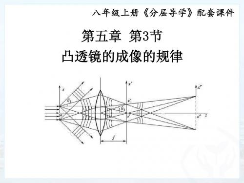 2018-2019物理分层导学八年级(上)人教版课件：第五章5.3凸透镜成像的规律