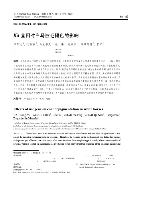 Kit 基因对白马被毛褪色的影响 - 生物通--------中国生命科学
