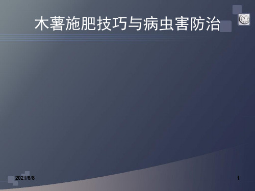 木薯种植施肥技术与病虫害防治