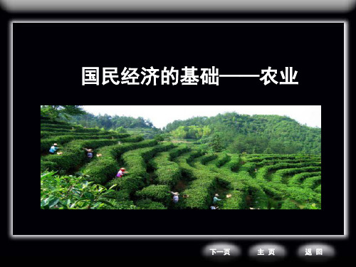 仁爱地理八年级上册第四章第一节 国民经济的基础——农业(共21张PPT)