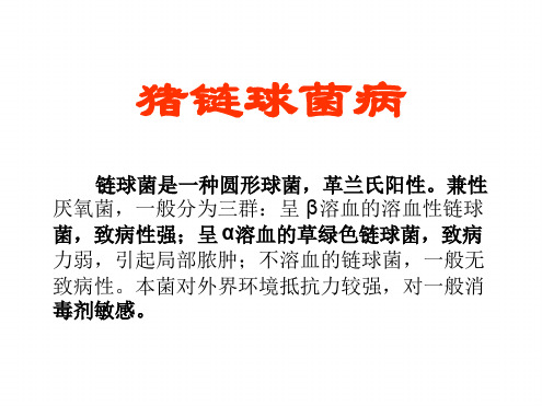 猪链球菌病【猪病的防与治】