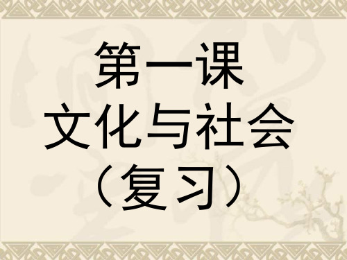 高二文化生活第一课 文化与社会 复习课件