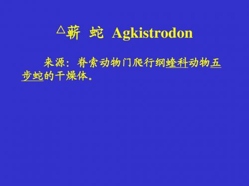 名贵中药材09蕲 蛇 Agkistrodon课件