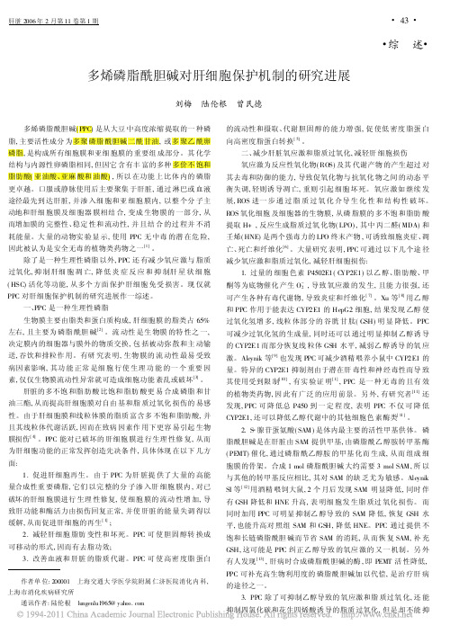多烯磷脂酰胆碱对肝细胞保护机制的研究进展