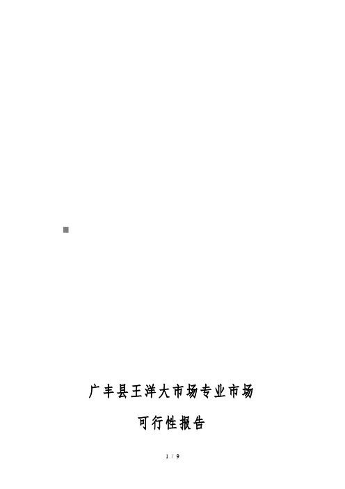 广丰县王洋大市场可行性实施报告