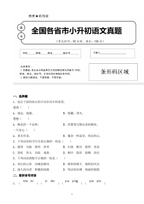 【小升初】2020年安徽省马鞍山市小升初语文毕业会考试题含答案(全网唯一)
