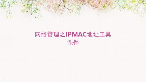 网络管理之IPMAC地址工具课件