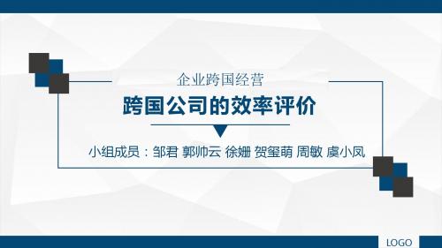 跨国公司效率评价