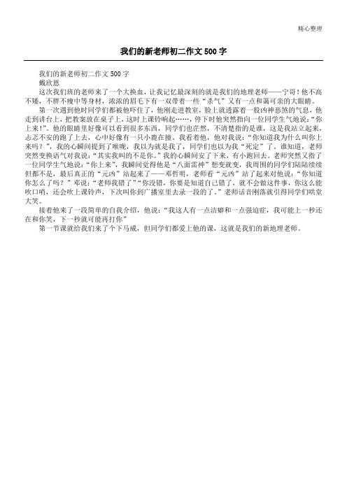 我们的新老师初二作文500字