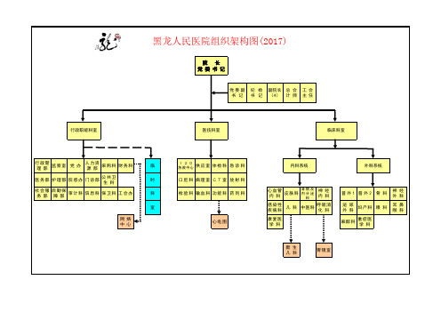 医院组织架构图