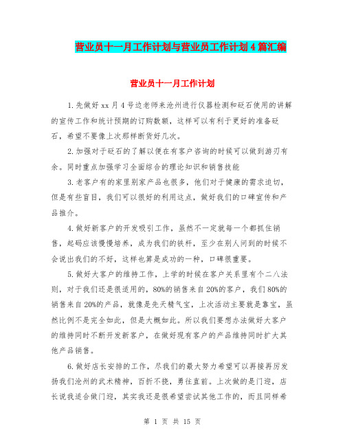 营业员十一月工作计划与营业员工作计划4篇汇编.doc