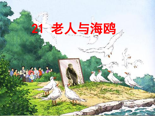 部编六年级上人教《21 老人与海鸥》汪英苗PPT课件 一等奖新名师优质课获奖比赛公开免费下载