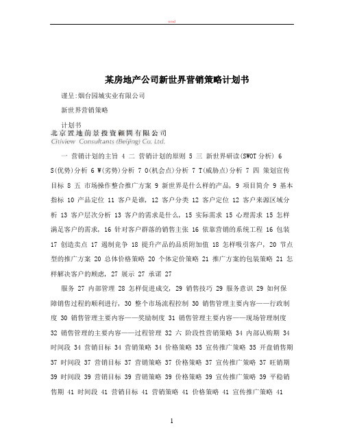 某房地产公司新世界营销策略计划书