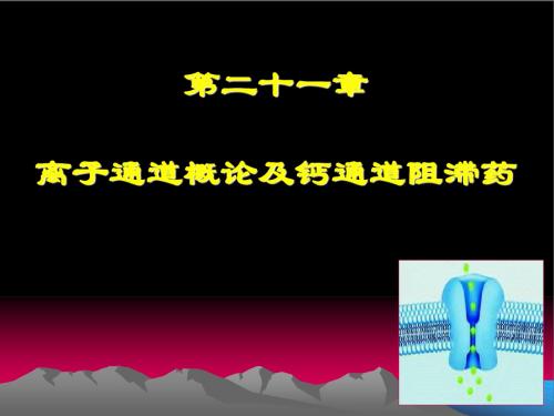 药理第21章 离子通道概论及钙通道阻滞药