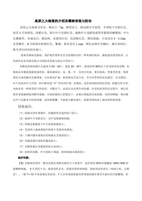 高原之火海棠的介绍灰霉病表现与防治