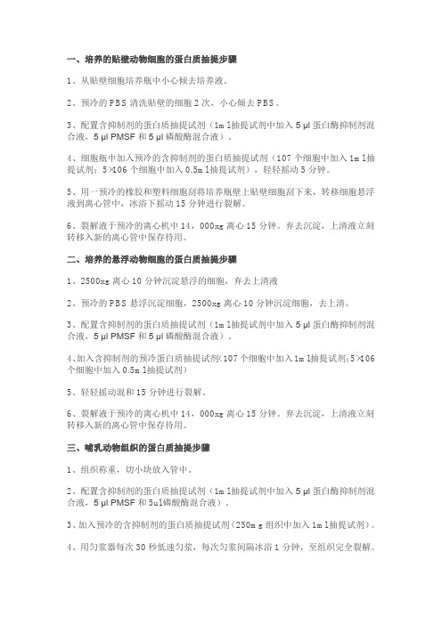 wb实验步骤