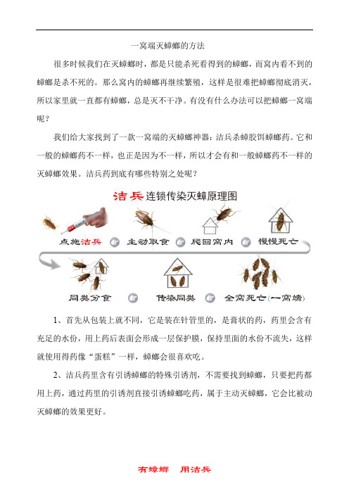 一窝端灭蟑螂的方法