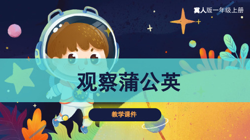 冀人版(新)小学一年级科学上册 《观察蒲公英》原创课件