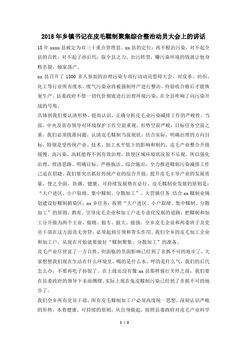 2018年乡镇书记在皮毛鞣制聚集综合整治动员大会上的讲话