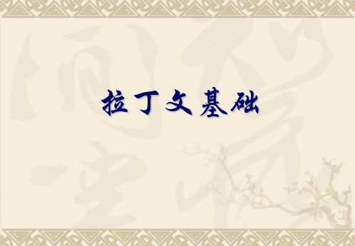 拉丁语