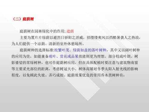 庭荫树