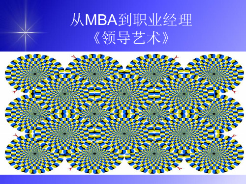 从MBA到职业经理《领导艺术培训讲义》.pptx
