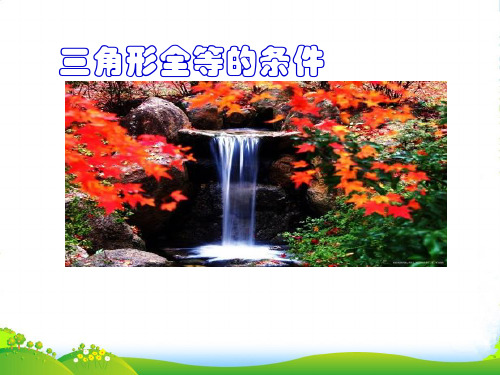 苏科版八年级数学上册《图形的全等》课件(共26张PPT)