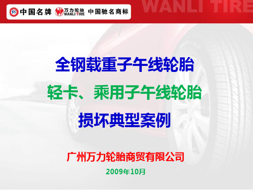 轮胎损坏案例分析