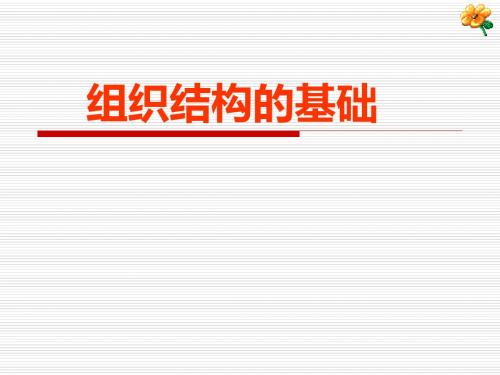 组织结构的基础-精品文档