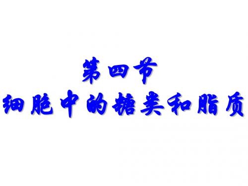 2.4细胞中的糖类和脂质