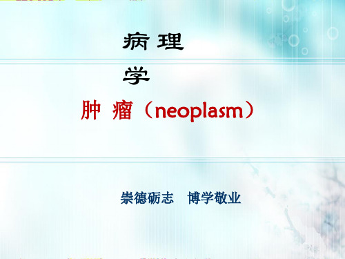 病理学与病理生理学  肿瘤