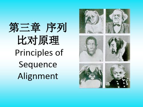 3序列比对原理
