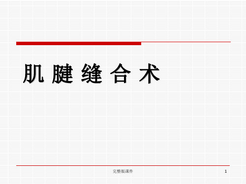 肌腱缝合术介绍ppt课件