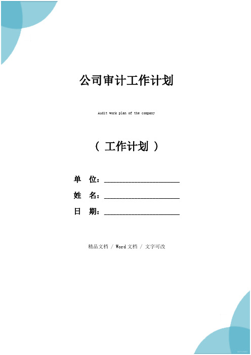 公司审计工作计划