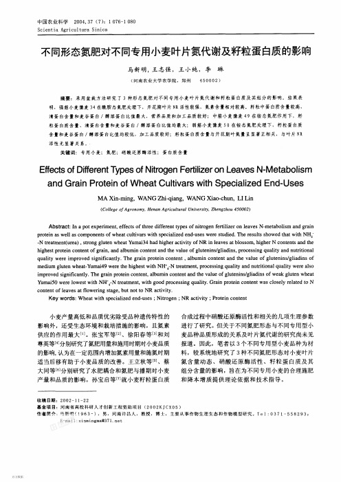 不同形态氮肥对不同专用小麦叶片氮代谢及籽粒蛋白质的影响