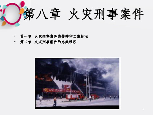《刑事案件》PPT课件_OK