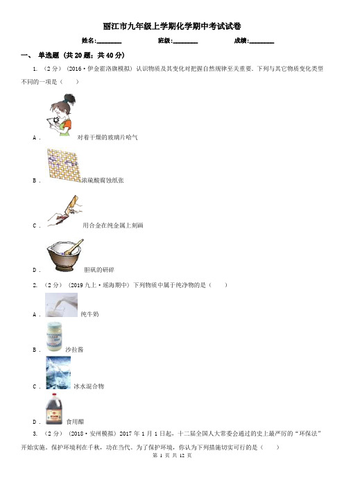 丽江市九年级上学期化学期中考试试卷  
