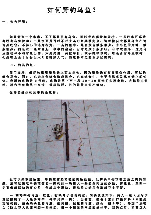 怎样钓乌鱼